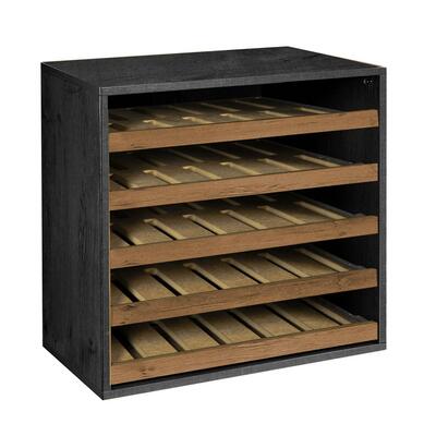 Produktbild f�r 'Regalmodul T 55 cm, mit Flaschenauszug, Esche graphit/Wildeiche'