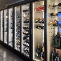 Produktbild f�r 'Weink�hlschrank TECA VINO, schwarz (Ausf�hrung f. Gewerbe)'