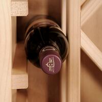 Produktbild f�r 'Weinregal-System PROVINALIA, Modell 1 f. 66 Einzelflaschen'