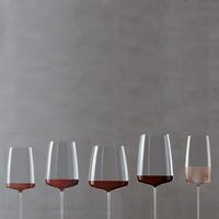 Produktbild f�r 'Glasserie Simplify von Zwiesel, 2er Set (ab 44,95 EUR/GLAS), mundgeblasen'