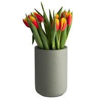 Produktbild f�r 'Flaschenk�hler ELEMENT aus Beton, gr�n'