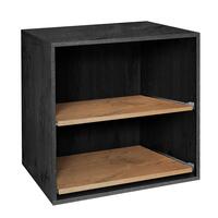 Regalmodul T 55 mit 2 ausziehb. Fachb�den, Esche graphit/Wildeiche