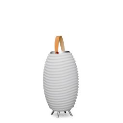LED-Weinkühler mit Bluetooth-Lautsprecher "Synergy 35"